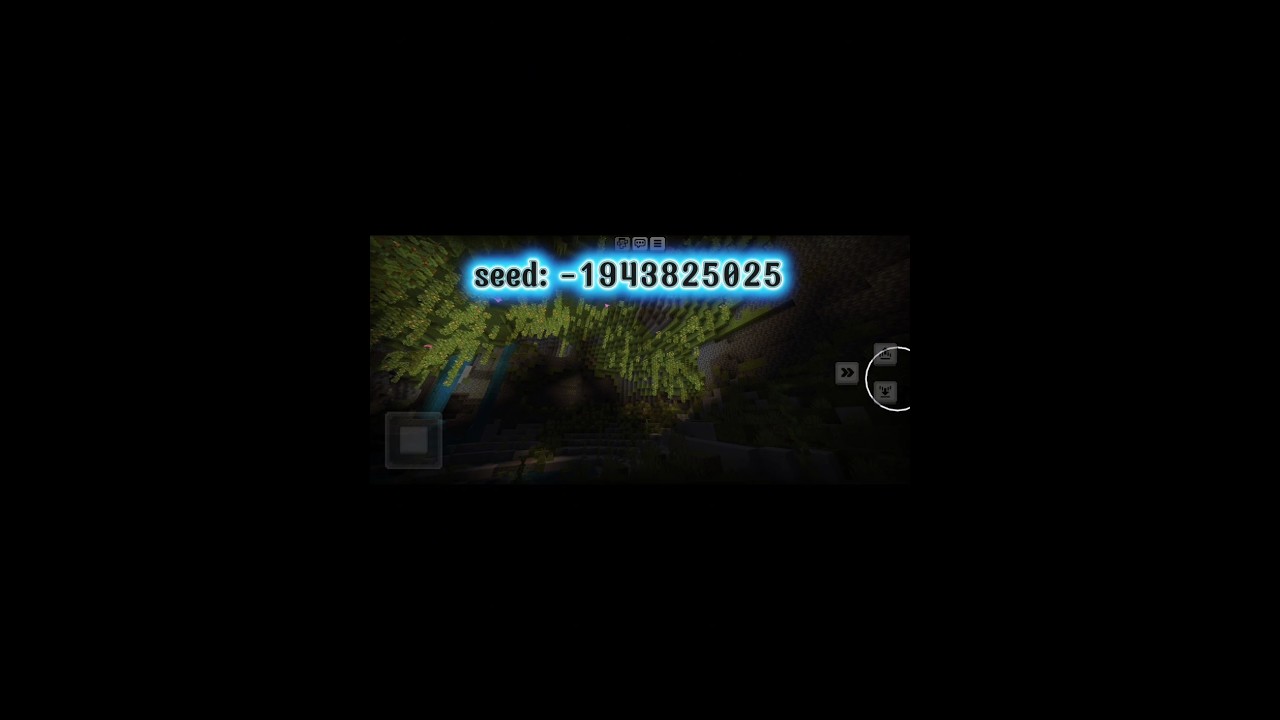 A SEED MAIS LINDA QUE JA VI!!!! 