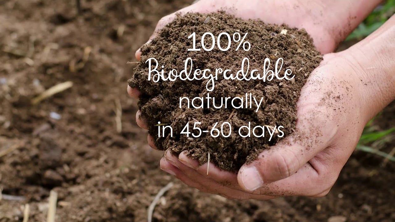 100% biodegradable Starter Plates