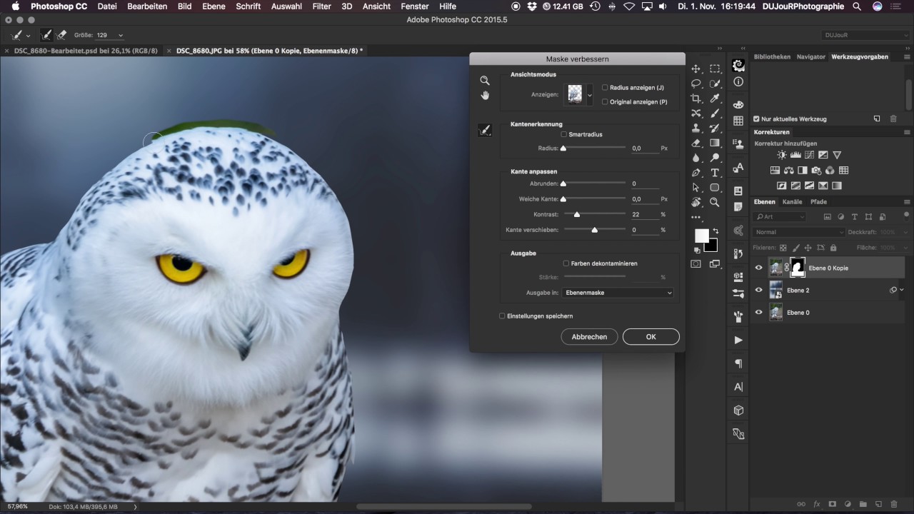 DUJouR TV Folge 18 - Schneeeule in Photoshop bearbeiten (4K/UHD Deutsch)