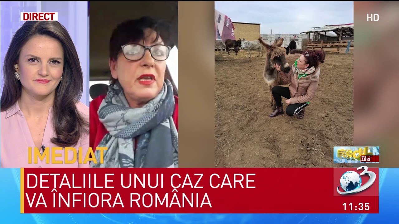 Eroul zilei: Asociaţia pentru protecţia animalelor Măriuţa, locul unde şi-au găsit salvarea pe