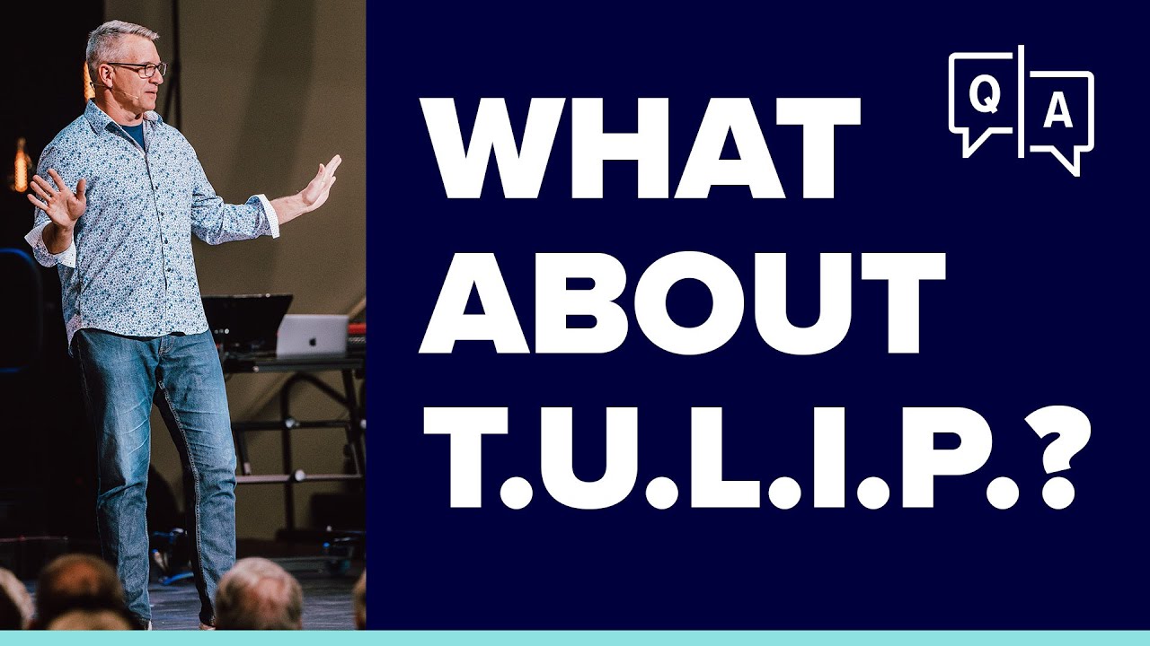 What about T.U.L.I.P.?