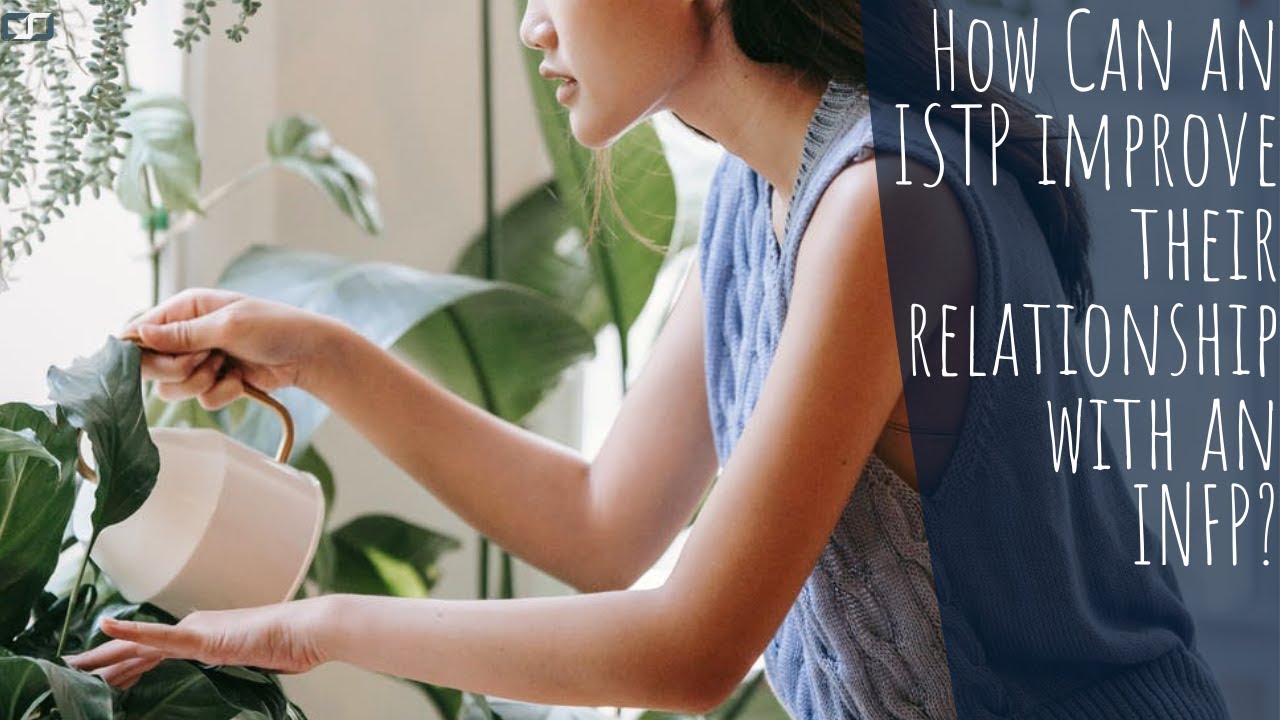 How Can an ISTP improve their relationship with an INFP? | CS Joseph Responds