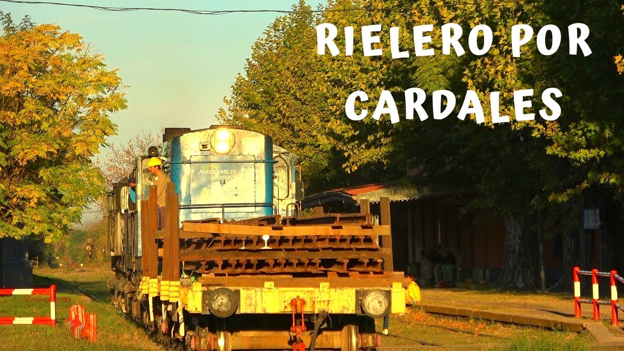 Tren Rielero llegando a Los Cardales - Renovación de Vía Ramal Victoria Capilla PRONTO A INICIARSE!