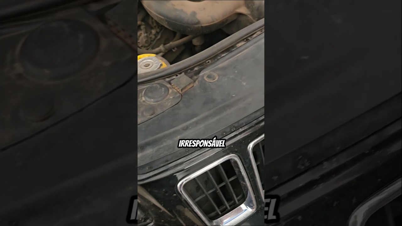 FAZ ISSO? IRRESPONS&Aacute;VEL!