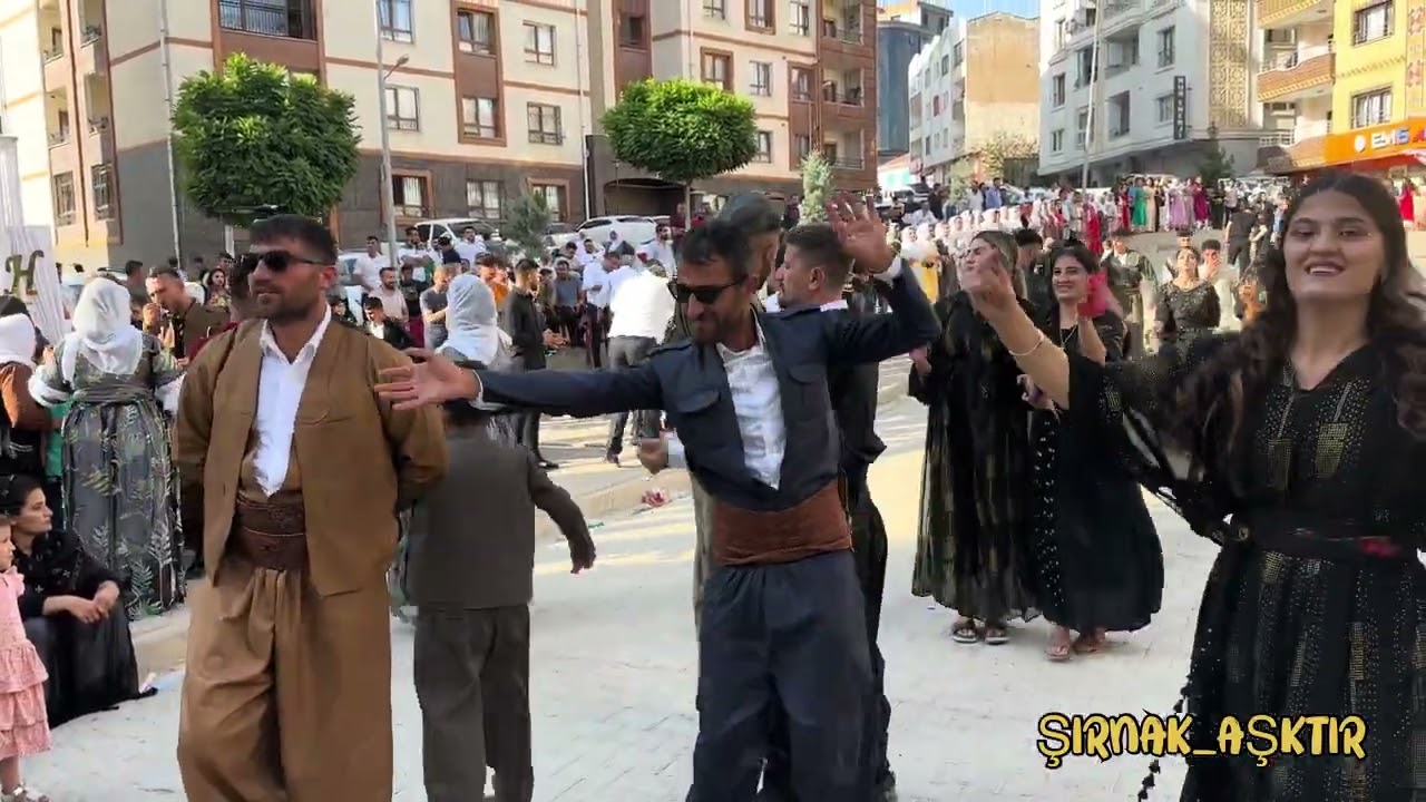 HACI ŞENEL DÜĞÜNÜ PART1 lütfen abone olalım #şirnakdüğünleri #halaybaşı #hakkari #shortvideo