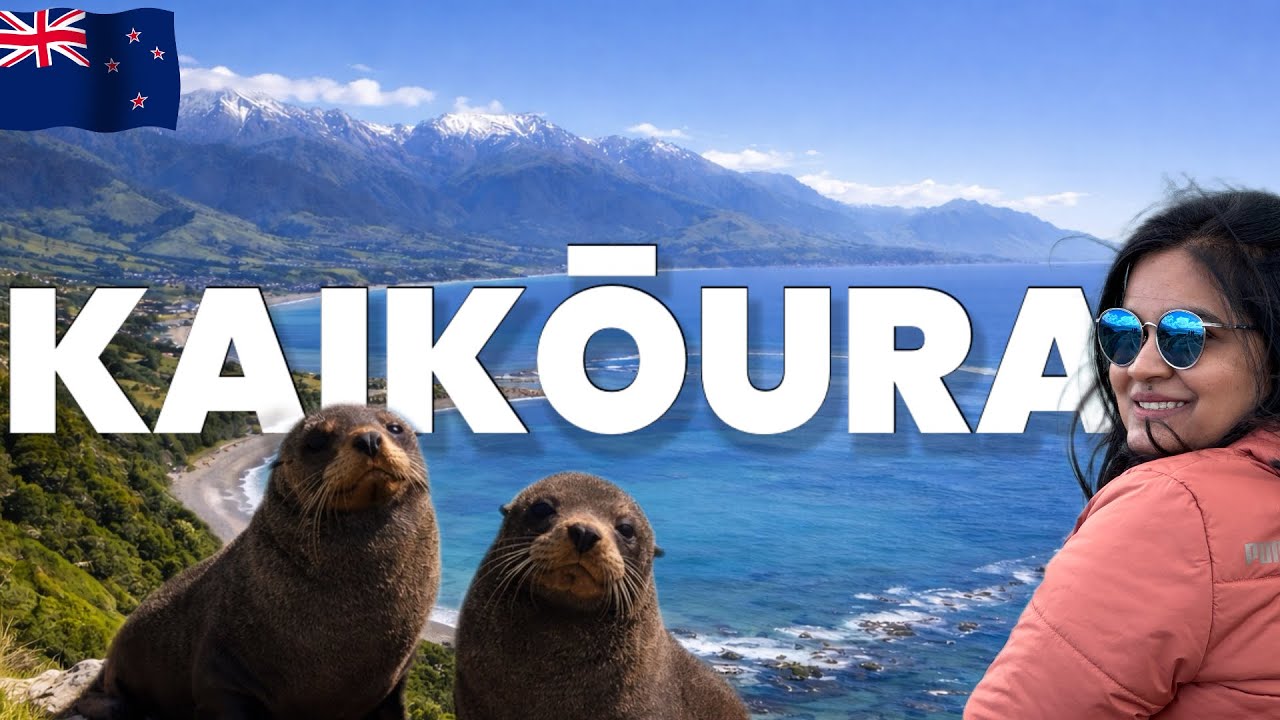 Picton to Kaikōura Scenic Drive, Seal Colony & Coastal Stops | New Zealand Road Trip Day 3