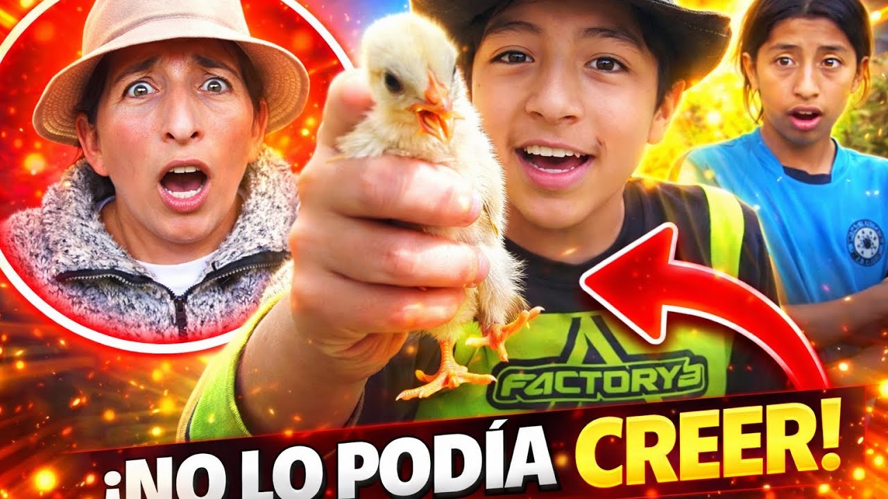 Le regale pollos a mi mama y esta fue su reacción