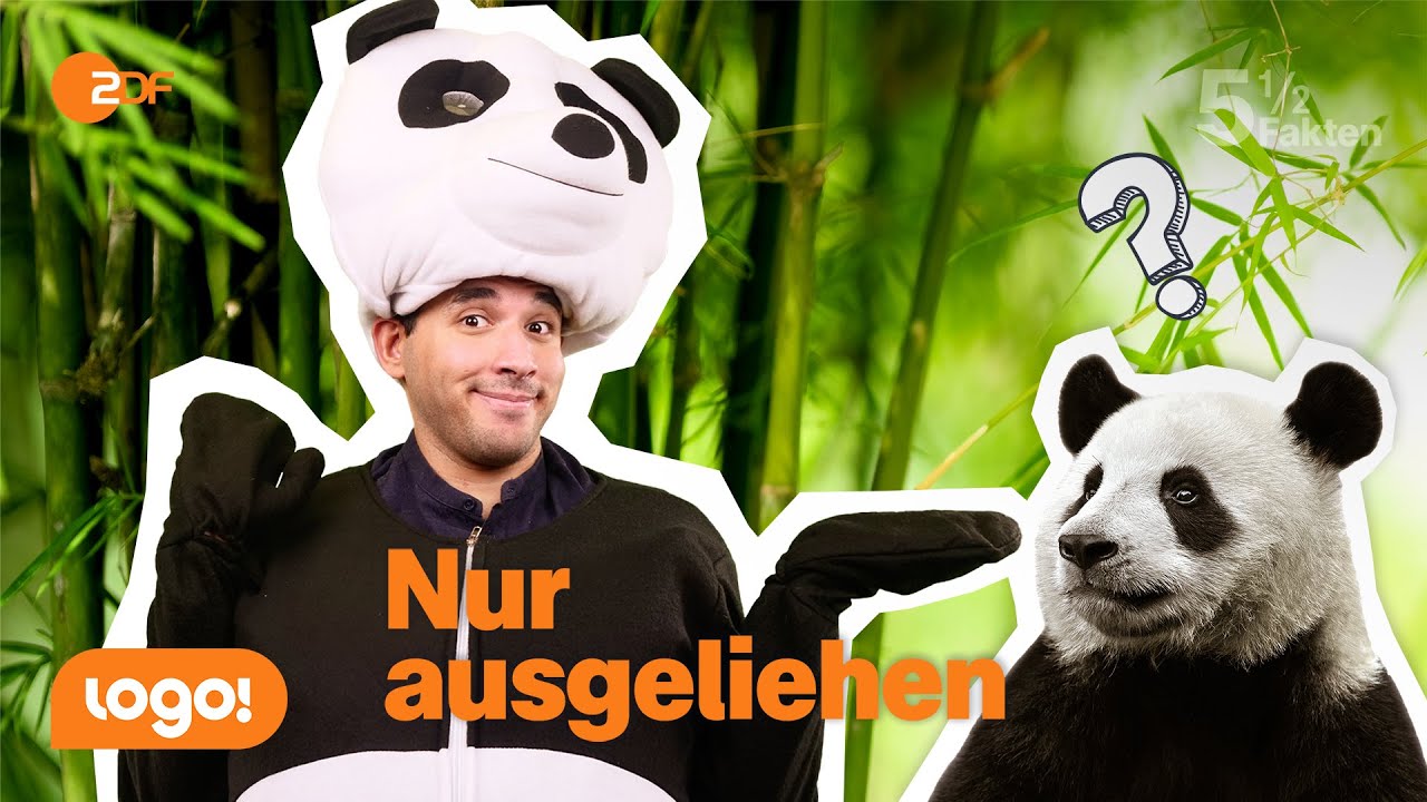 Wenn das passiert, sind die Pandas weg | 5&frac12; Fakten