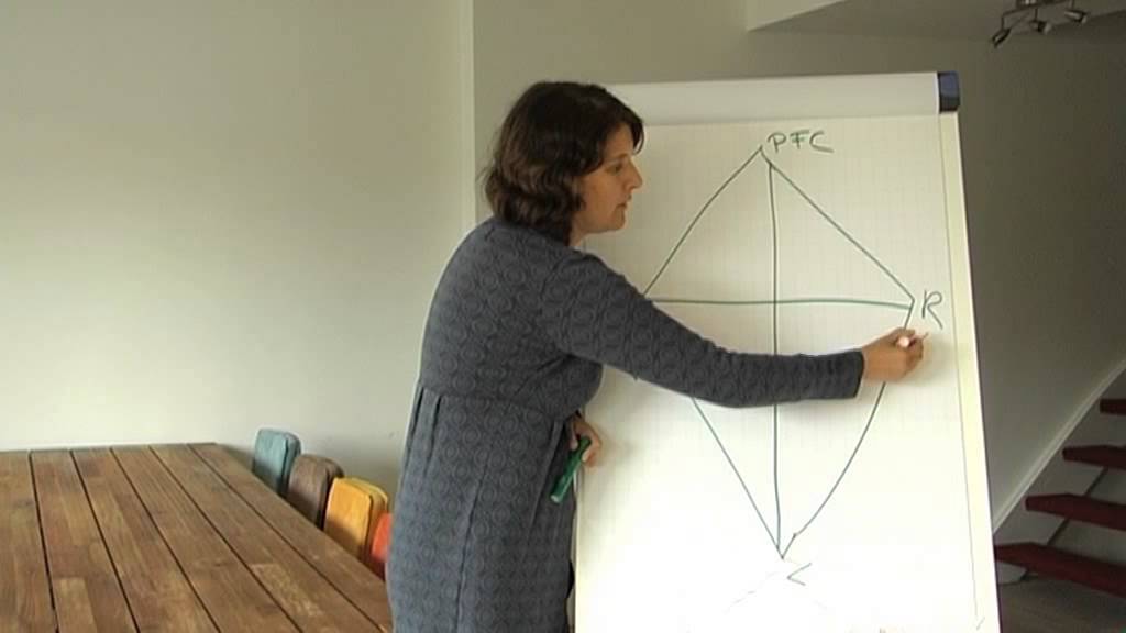 Film 8: Vliegermodel - Prefrontale cortex - ADHD centrum Nederland