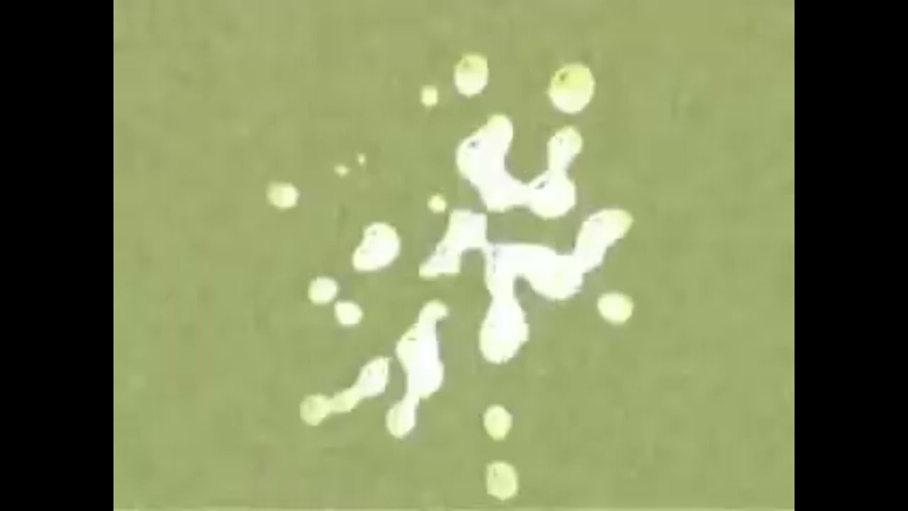 Klasky Csupo G Major Fast and Slow 2x 4x and 8x and Reversed