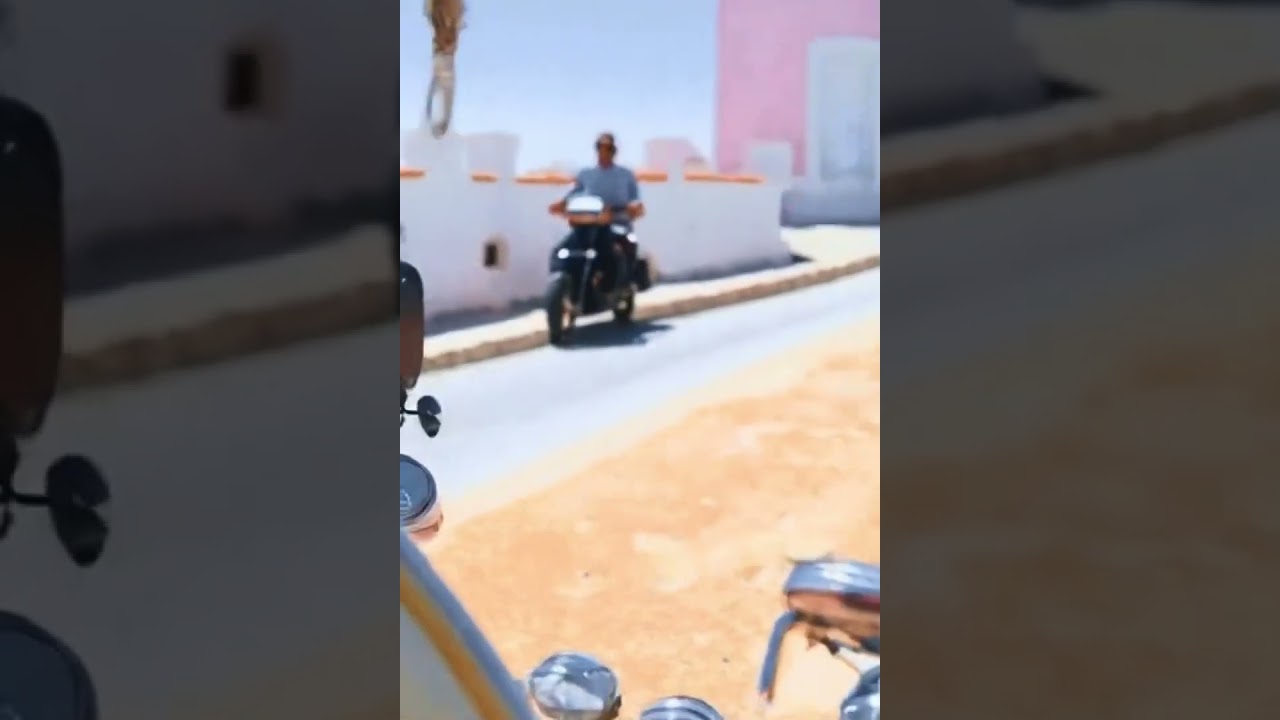 Rei Ortol&aacute; - Formentera