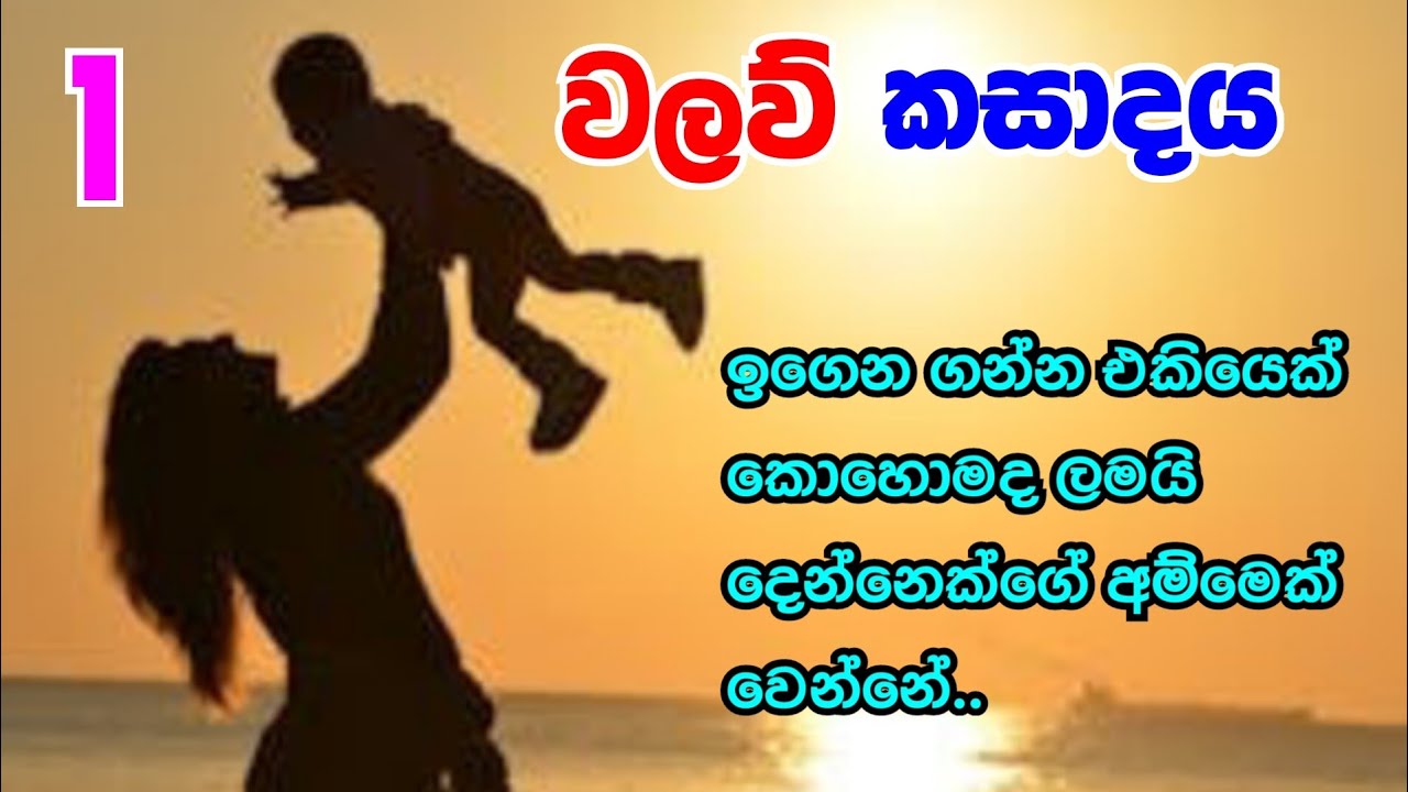 වලව් කසාද ය| ආදරණීය කතාවක් ~ මේ තරම් ආදරයක් විස්වාස කරන්න පුලුවන්ද...| සිංහල නවකතා