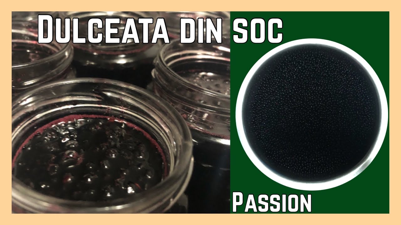 Dulceata din fructe de soc | PASSION