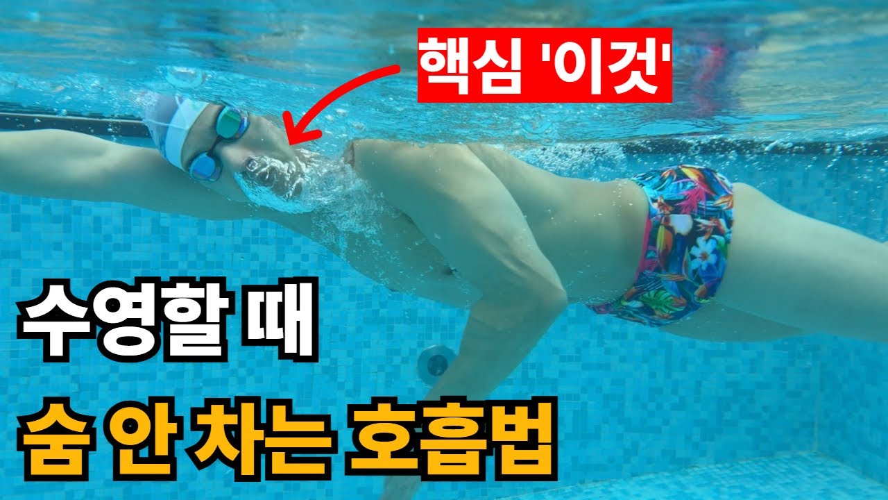 자유형 호흡이 안된다면 필수로 보세요!