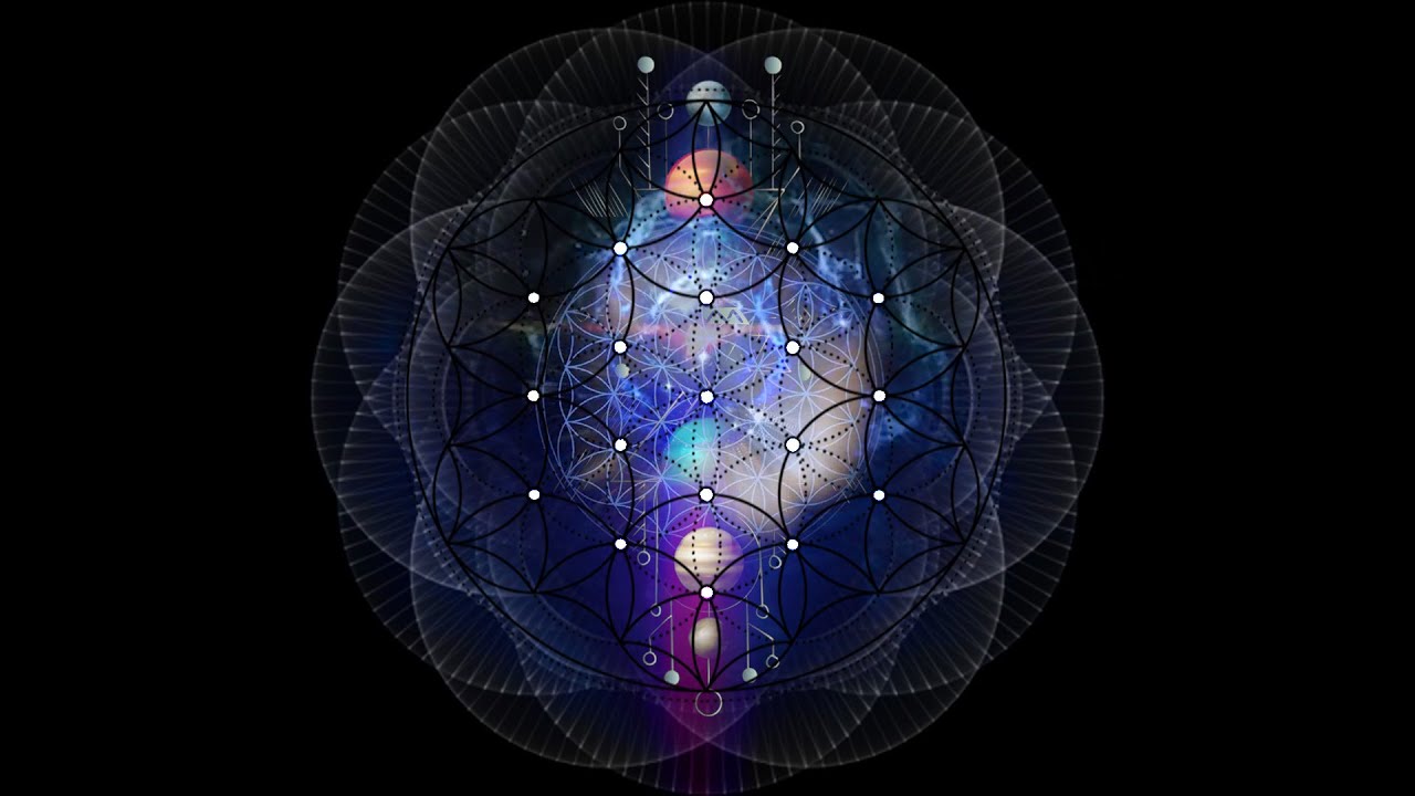 Survival Protection | Release From Constant State of Fight Or Flight Mode | PROTECTION FREQUENCY
