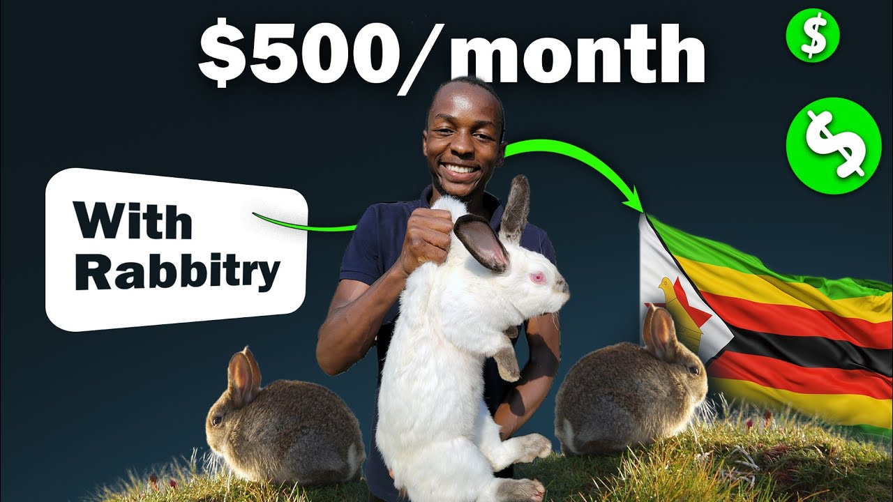 How a Zimbabwean Rabbitry farmer is making $500 per month