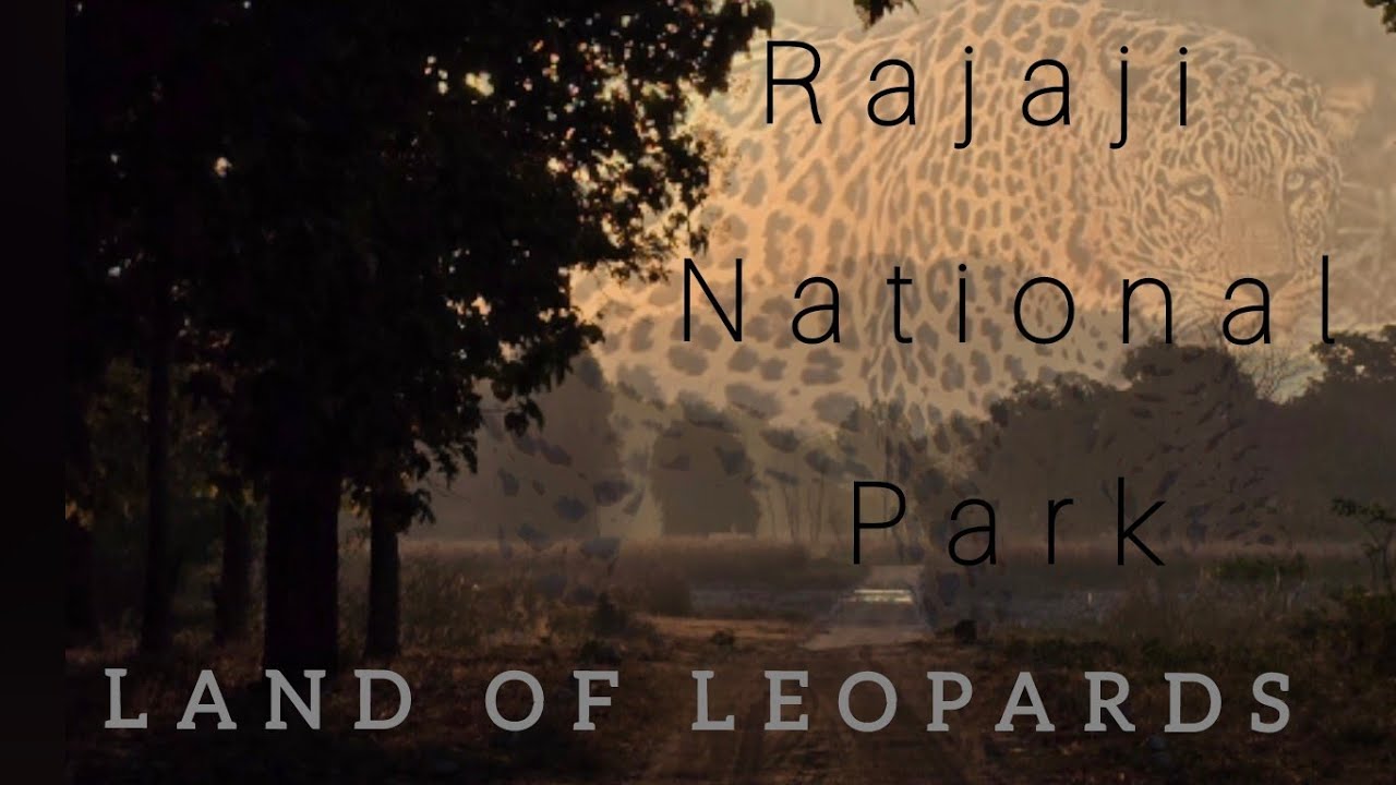 Rajaji National Park Mohand Range  | Mohand Range Rajaji National Park | Chillawali,  Mohand Range