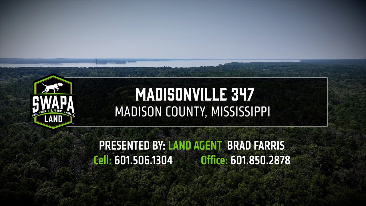 Land For Sale | Madisonville 347 | Madison County, Mississippi