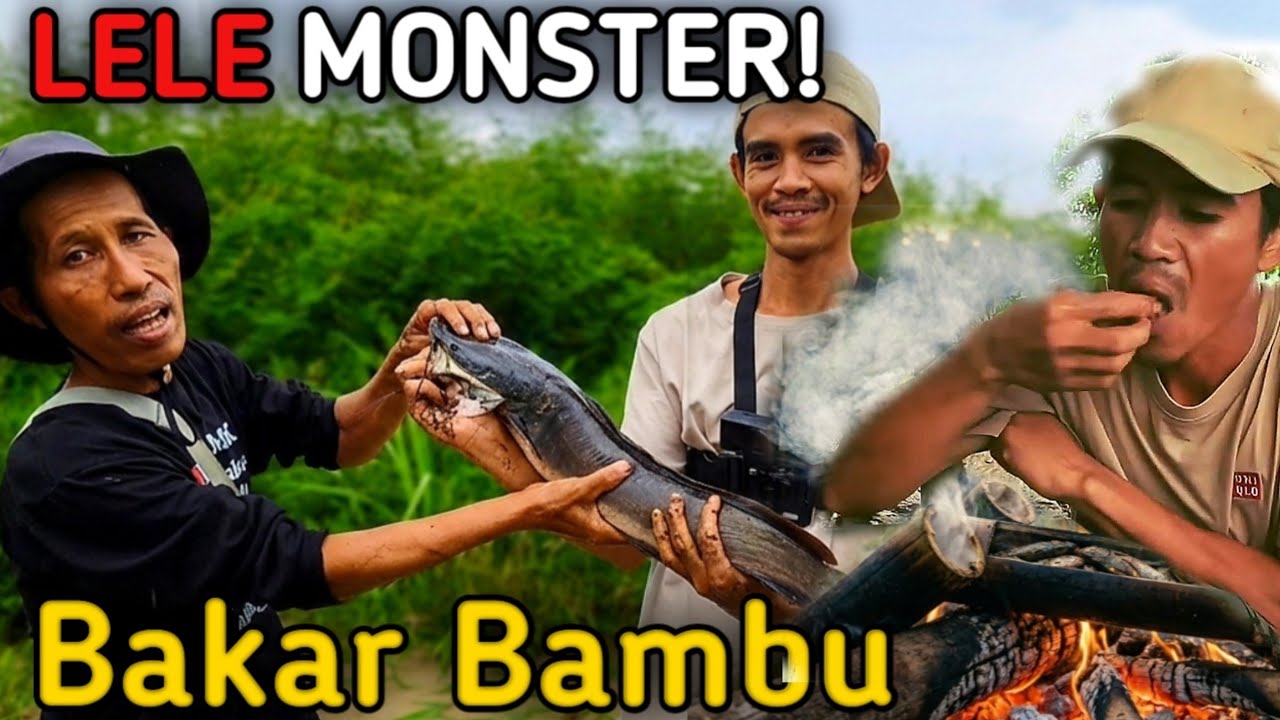 GILA ! NEMU LELE RAKSASA LANGSUNG MASAK BAKAR BAMBU