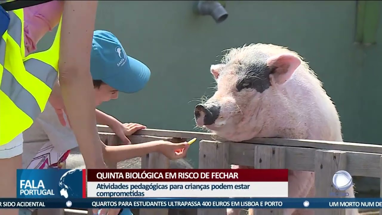 Quinta biológica em risco de fechar