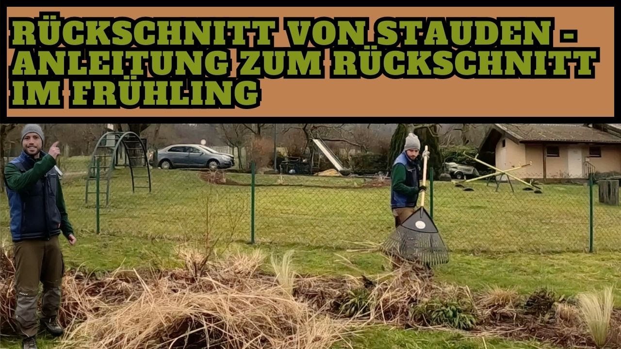 Staudenpflege im Frühling - Rückschnitt von Stauden und Ziergräser