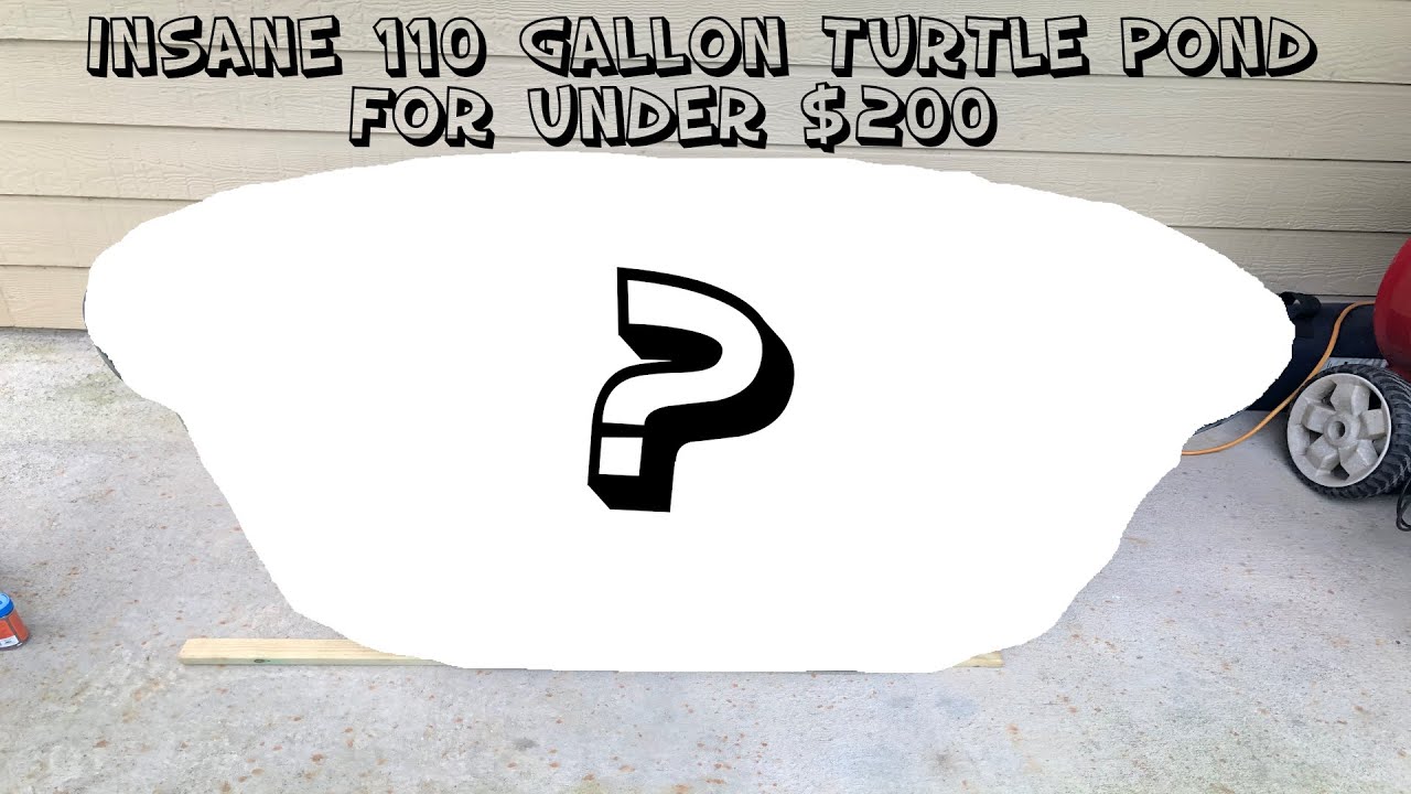 *INSANE* 110 GALLON TURTLE POND FOR UNDER $200