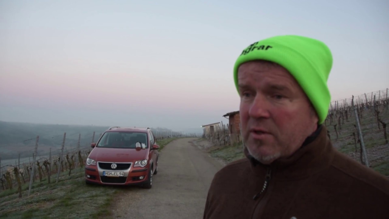 Mit dem Heli gegen den Frost im Weinberg