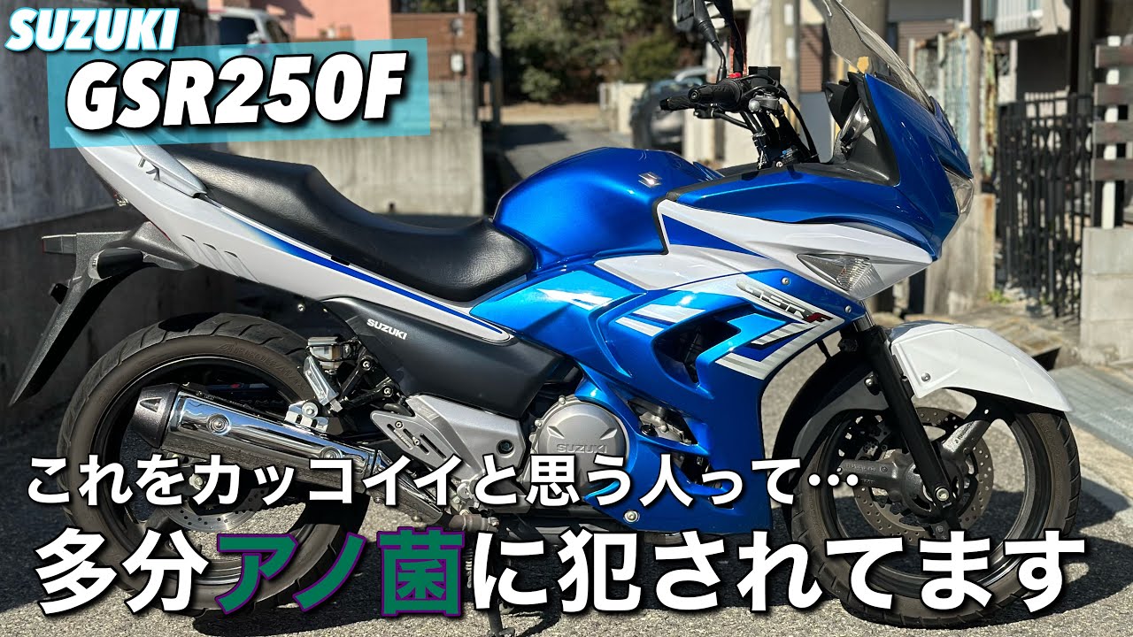 【GSR250F】ってどんなバイク？チラッと説明しながら紹介します