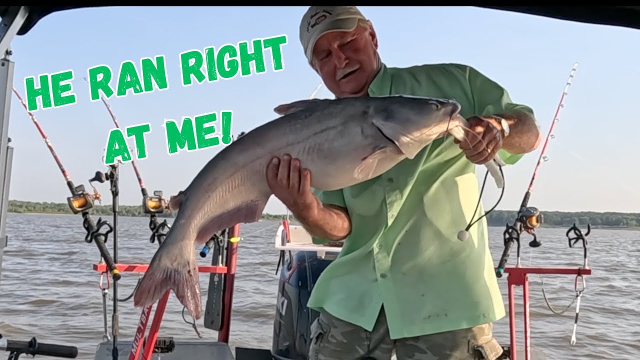I LOVE TO CATCH CATFISH!