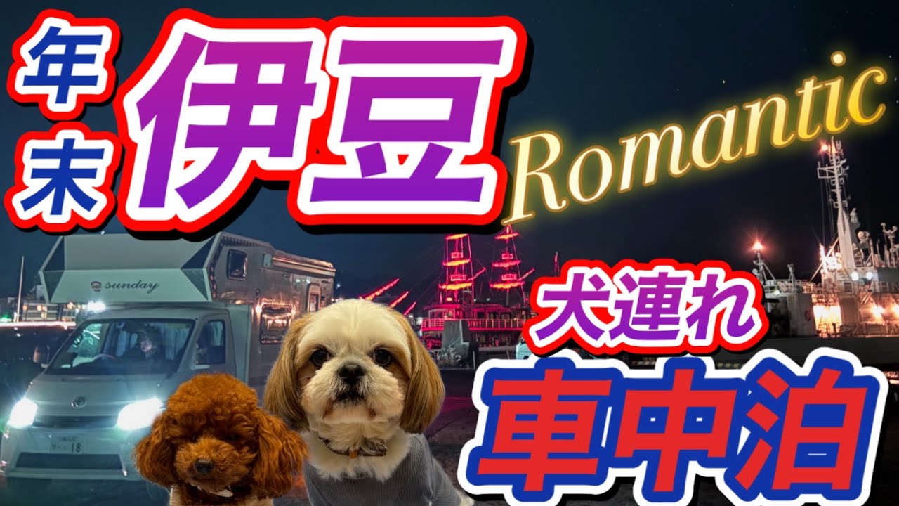 【25年末伊豆犬連れ車中泊🐶】サンデーミドル／道の駅伊東マリンタウン／開国下田みなと／伊豆ゲートウェイ函南／稲取朝市／旅の駅ぐらんぱるぽーと／ドッグラン