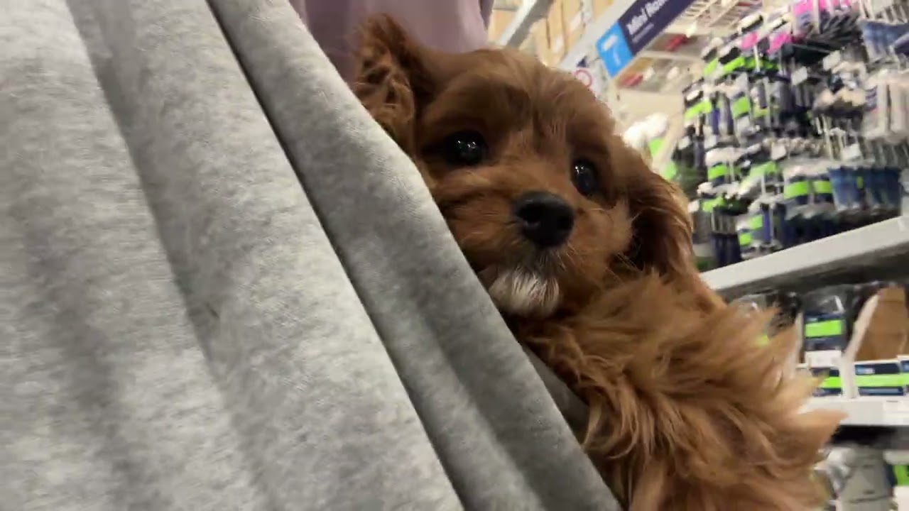 Grace’s Field trip to Lowe’s Part 2