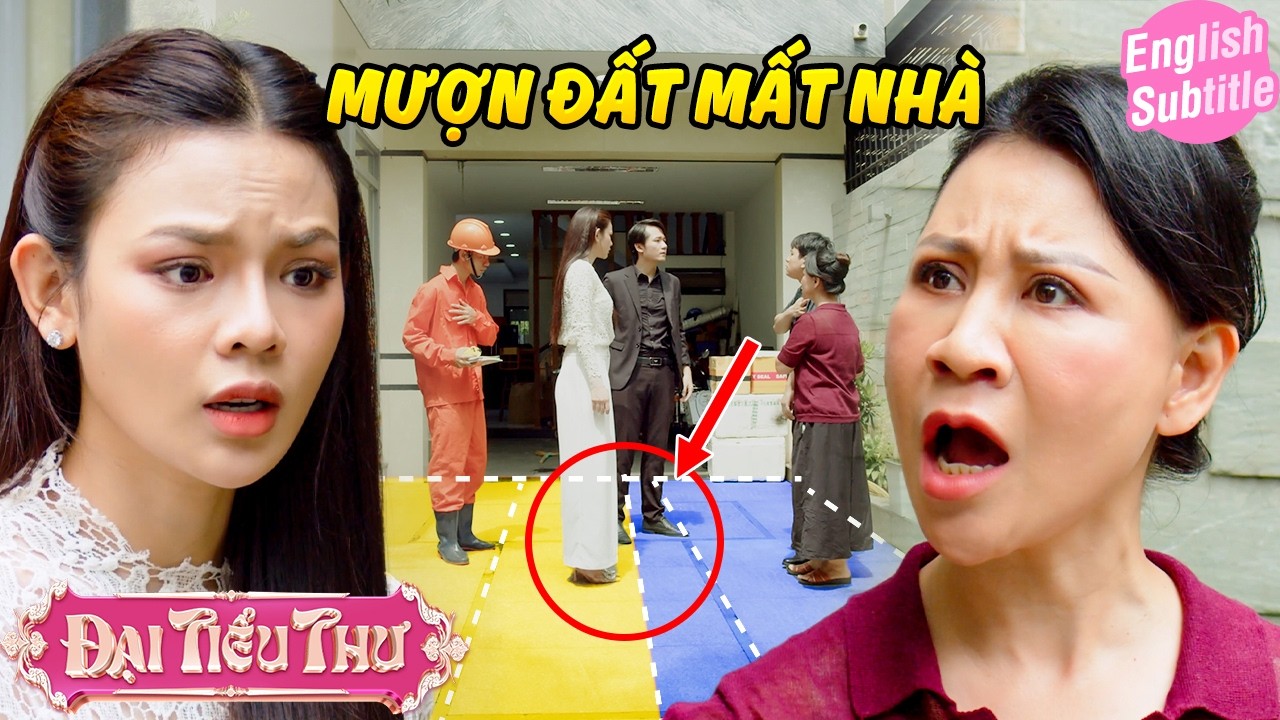 HÀNG XÓM LẤN CHIẾM RANH GIỚI ĐẤT LÀM CỦA RIÊNG | Đại Tiểu Thư trừng trị | BigCat UNIVERSE