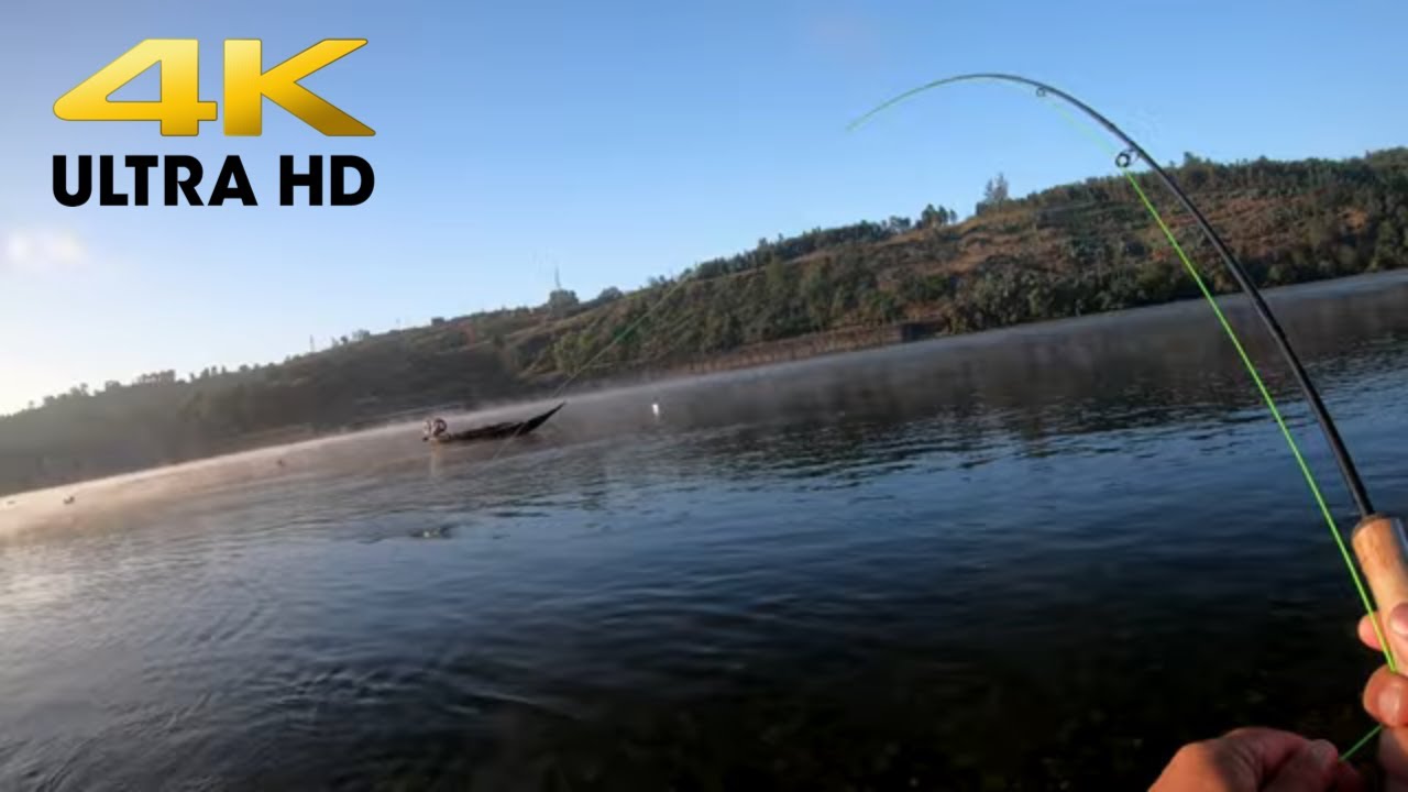 Pesca em LRF e Fly Fishing aos Robalos, Percas e Luciopercas (4K ULTRA HD)