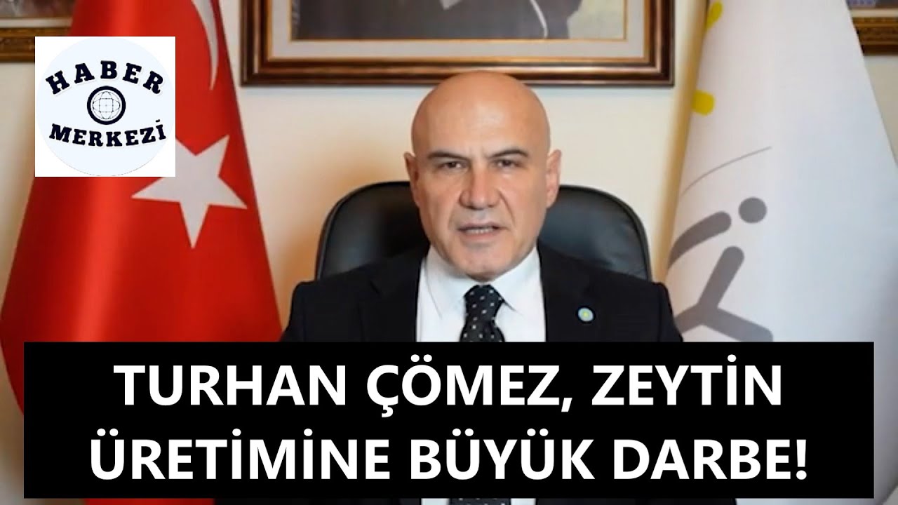 İYİ Parti Grup Başkanvekili Turhan Çömez, zeytin üretimine büyük darbe!