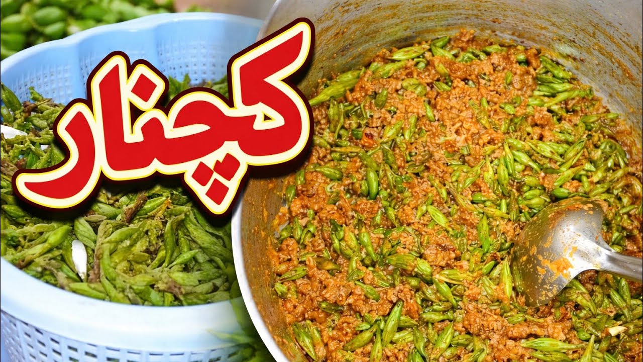 سردیاں دی سوغات کچنار بہت ودیہ پکدی ہے # سارے لوکاں نوں بڑی پسند ہے # سادی جی ریسپی 