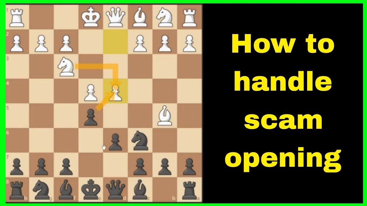 How to handle scam opening in chess #chess #checkmate #chessrating #viralvideo
