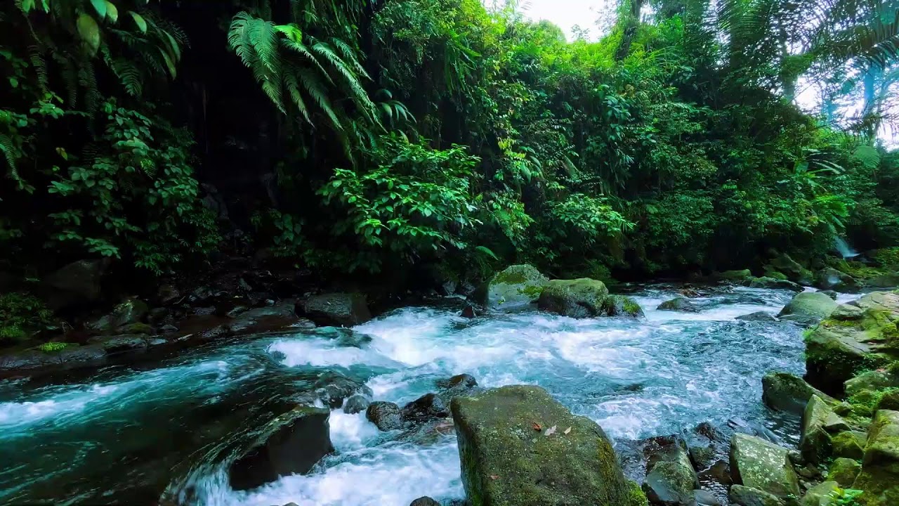 Calming River Water Sounds for Anxiety Relief and Sleep