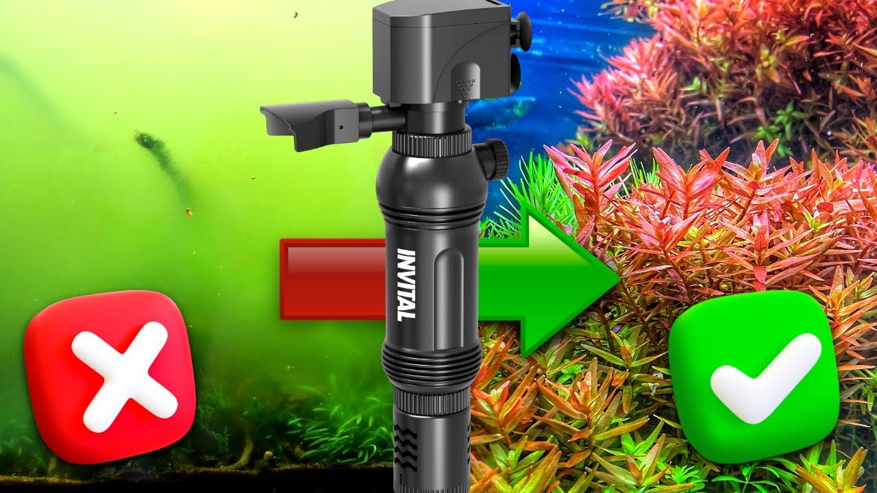 Usuwa głony i zmętnienie w wodzie - INVITAL Mini UV lampa 5W z pompą