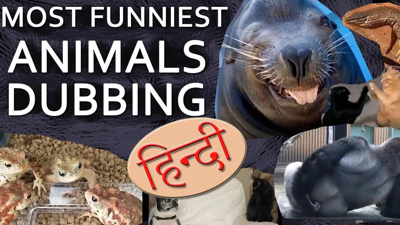 Funny Animals Dubbing - Hindi [Video Collage ]