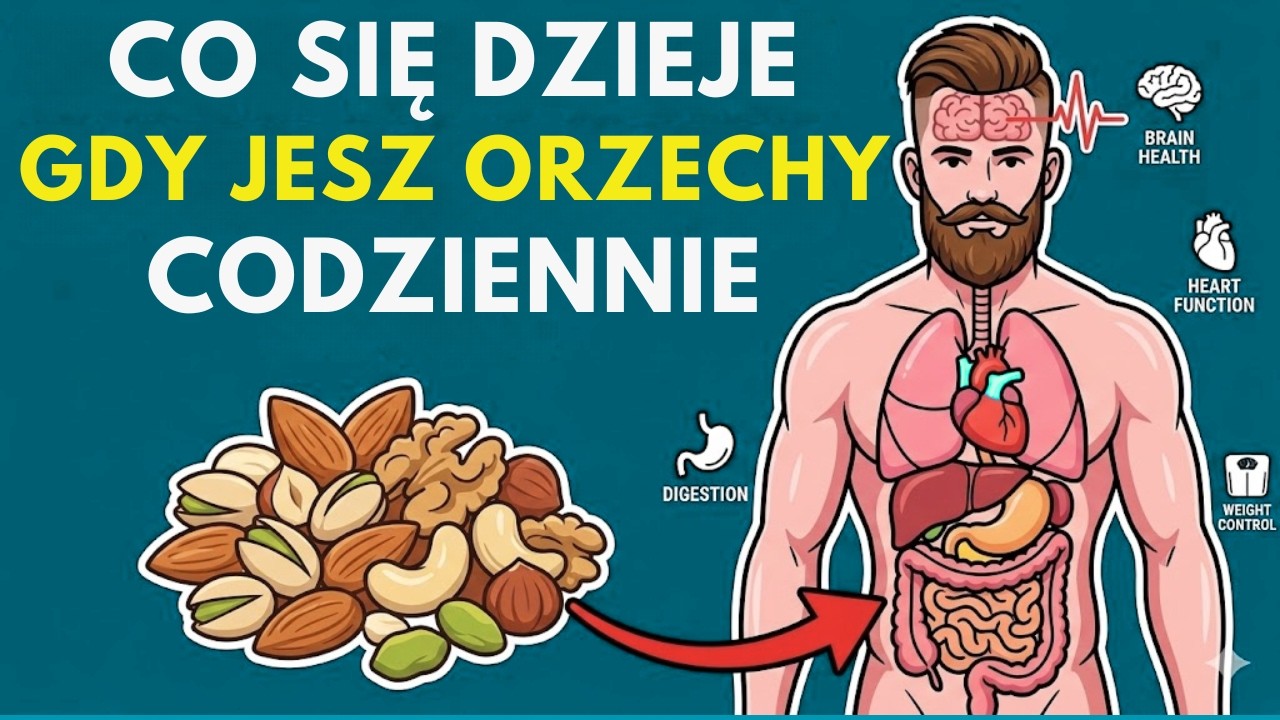 Co dzieje się z Twoim organizmem, gdy jesz ORZECHY codziennie? (naukowo wyjaśnione)