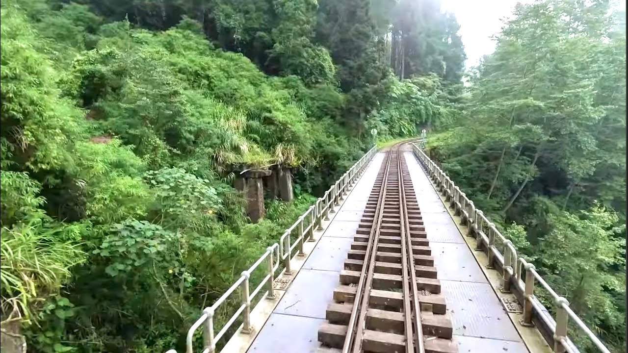 【阿里山森林鐵路】林鐵本線路程景 Part 4 (阿里山-奮起湖)