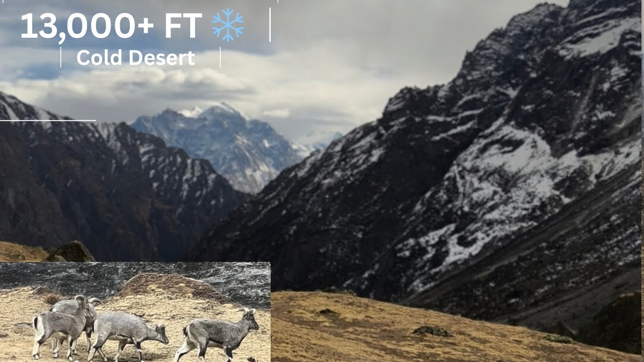 First Himalayan Winter Journey | 13,000 ft+ ❄️ Cold Desert, Ibex & Extreme Weather