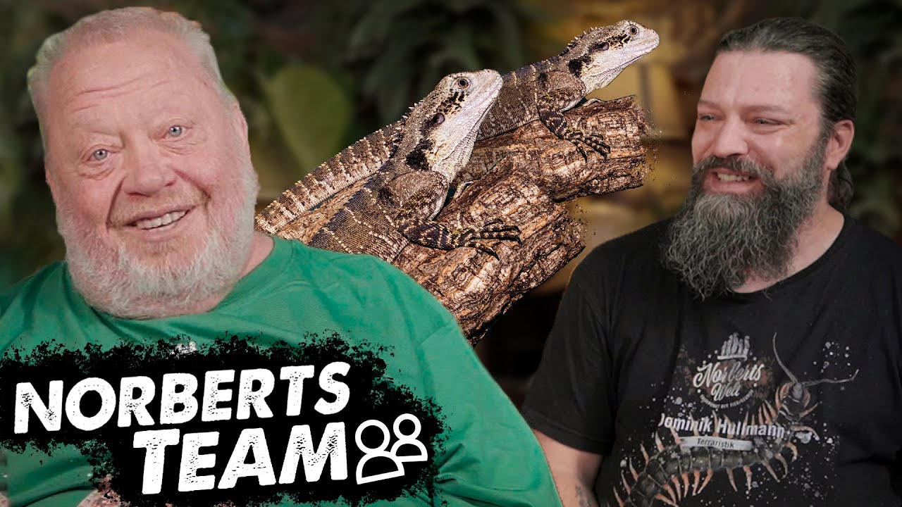 AUSTRALISCHE WASSERAGAME | NORBERTS TEAM | Zoo Zajac