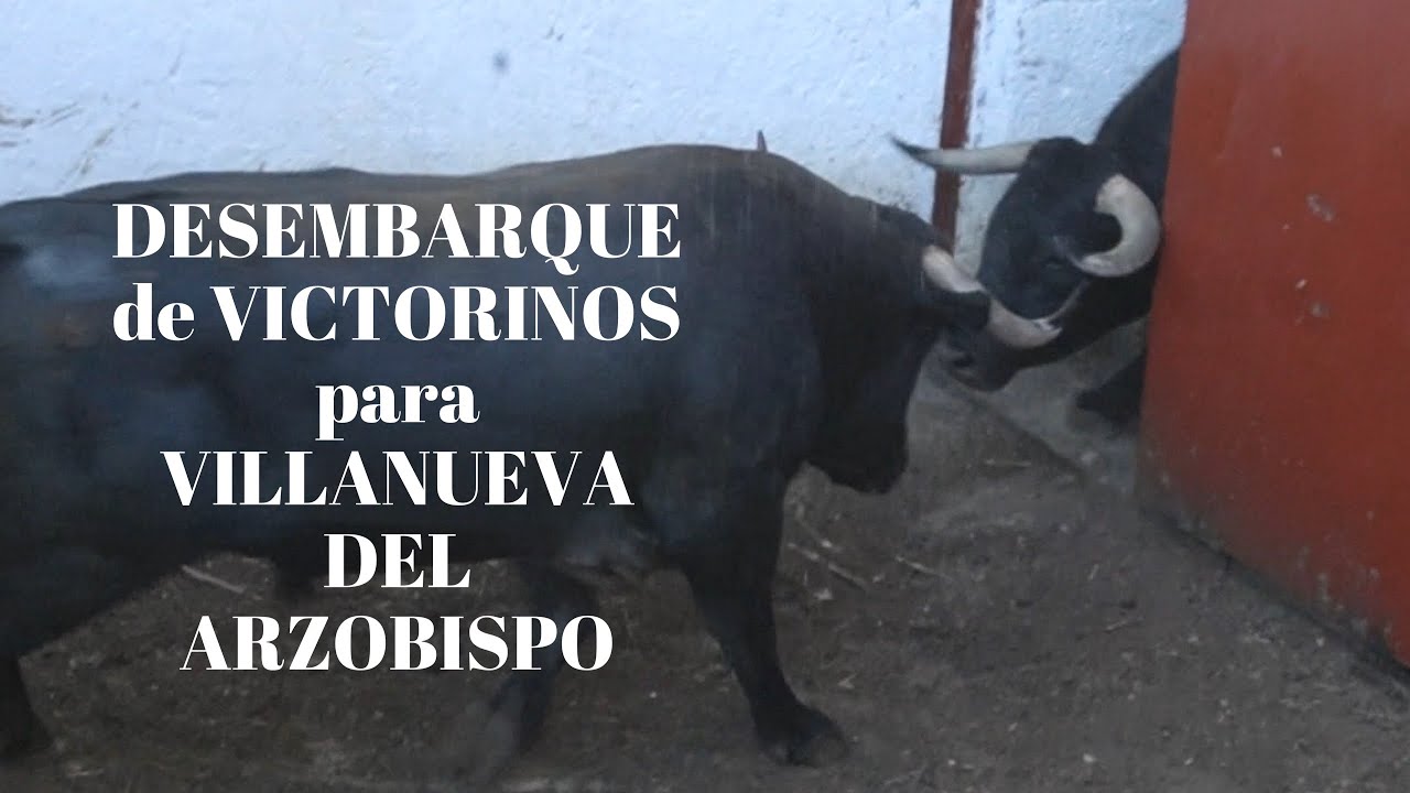 ESPECIAL DESEMBARQUE de Victorinos para VILLANUEVA DEL ARZOBISPO