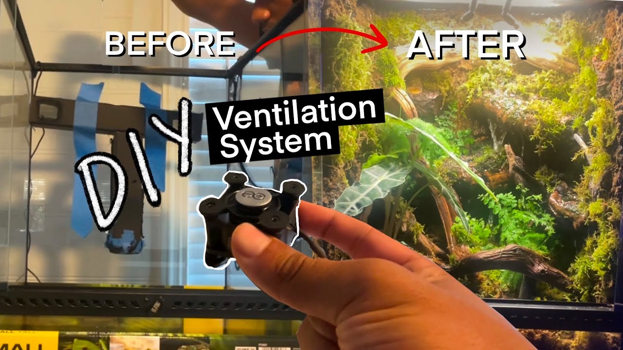 The SECRET to keeping your plants HAPPY in your bioactive vivariums! Fan powered ventilation DIY