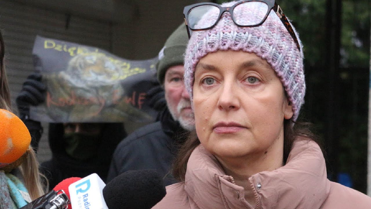 Konferencja Ewy Zgrabczyńskiej - zawieszonej dyrektorki poznańskiego ZOO