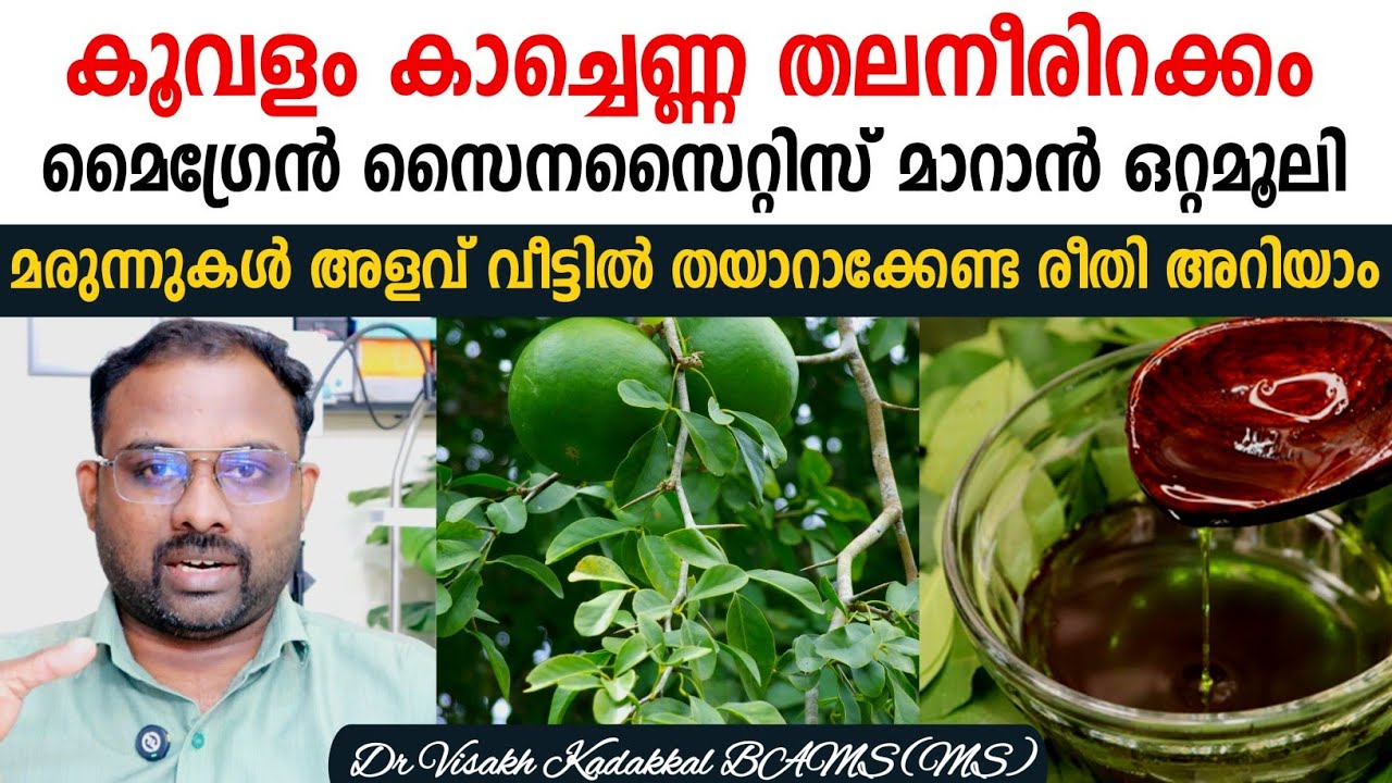 കൂവളം കാച്ചെണ്ണ തലനീരിറക്കം,മൈഗ്രേൻ, സൈനസൈറ്റിസ് ഒറ്റമൂലി; മരുന്നുകൾ,അളവ്,തയ്യാറാക്കേണ്ട രീതി അറിയാം