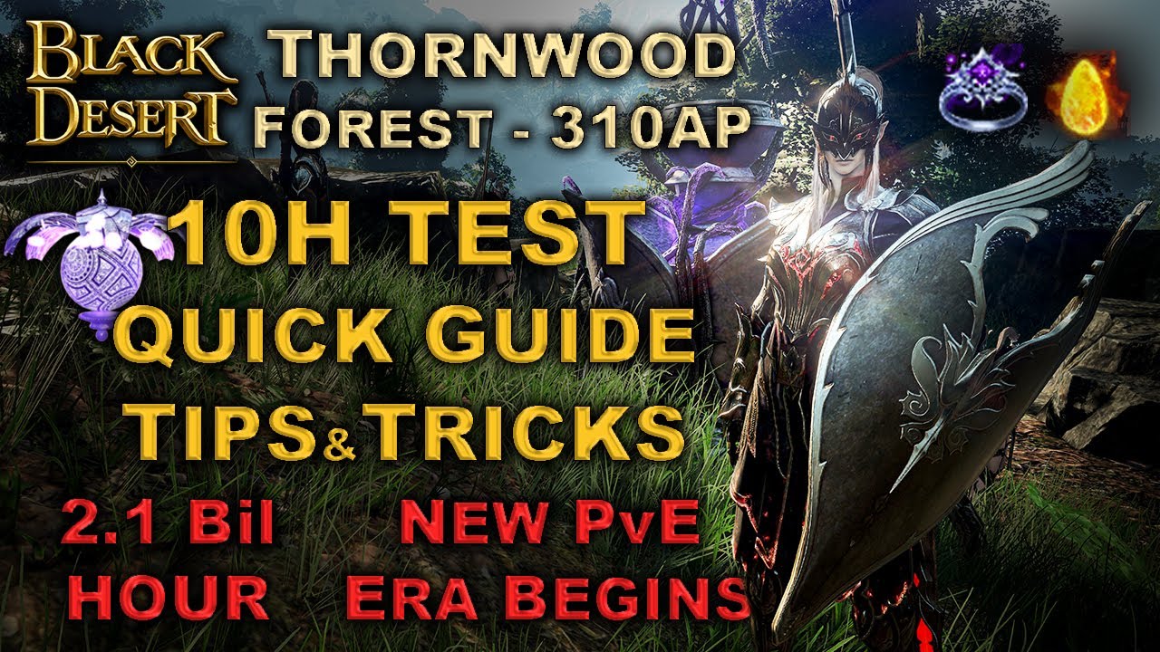BDO | Thornwood Forest 10H Hour Test | Crystals - Quick Guide - Tips & Tricks |