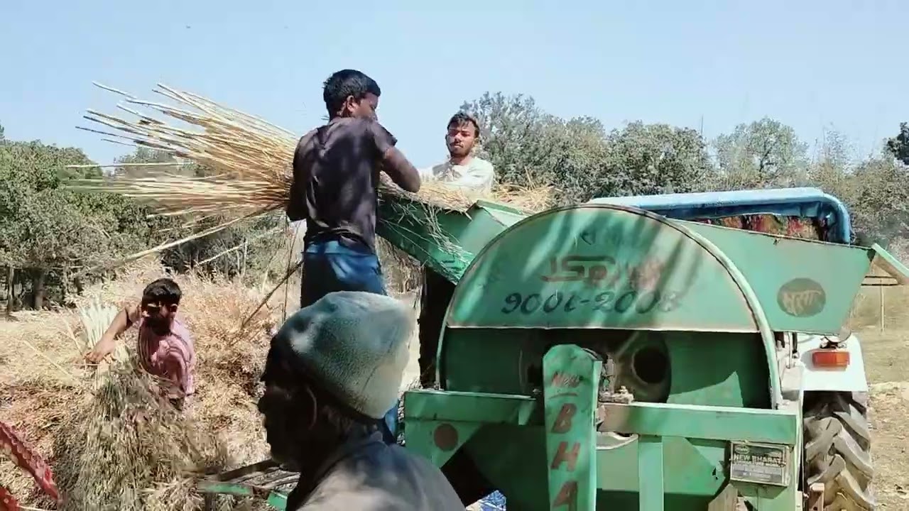 सरसों निकालने का  सही तरीका Hamara channel subscribe Karen