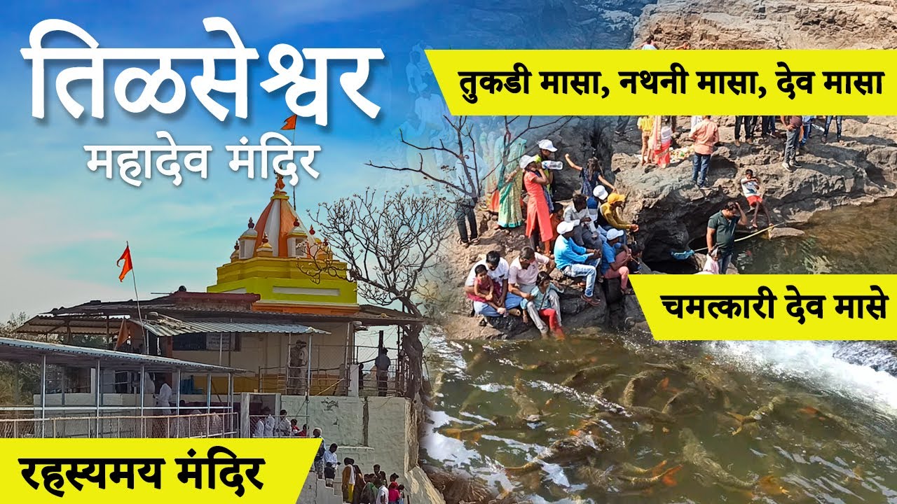 रहस्यमय तिळसेश्वर महादेव मंदिर व चमत्कारी दैवी मासे | (तीळसे) वाडा, पालघर 2022